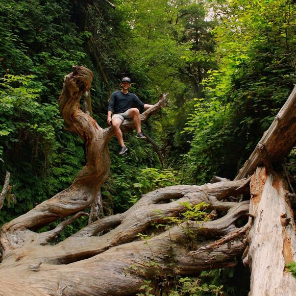 Meet your Posher, Niel - Picture 1 of 1